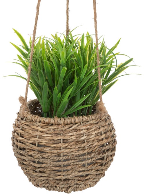 Plante Zoe à suspendre H17cm - Kiabi