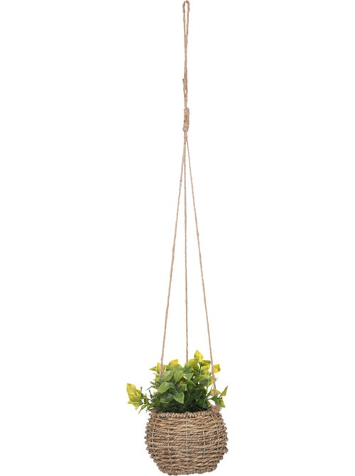 Plante Zoe à suspendre H17cm - Kiabi