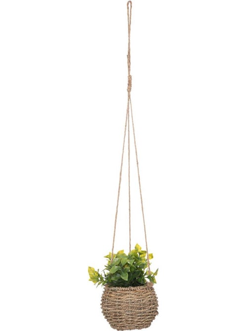 Plante Zoe à suspendre H17cm - Kiabi