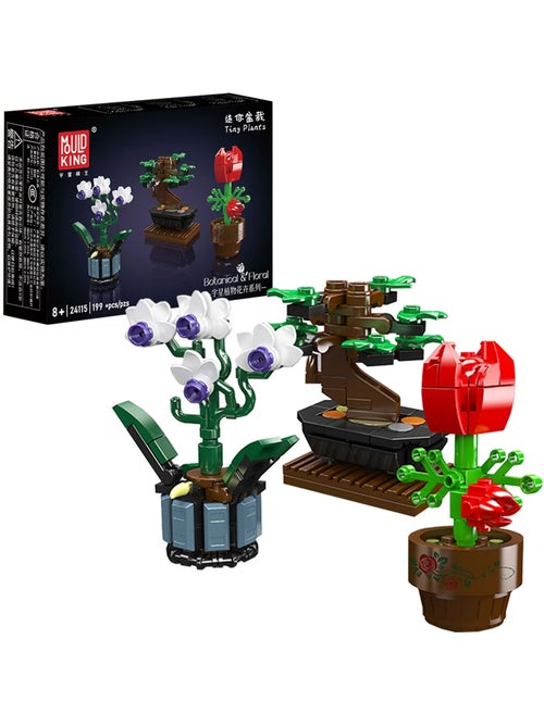 Plantes en pot - Kiabi