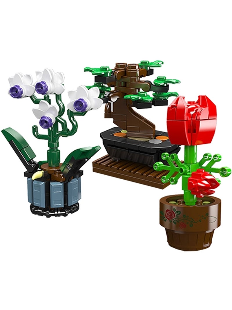 Plantes en pot Multicolore - Kiabi