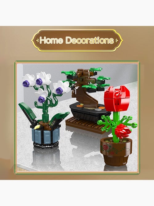 Plantes en pot - Kiabi