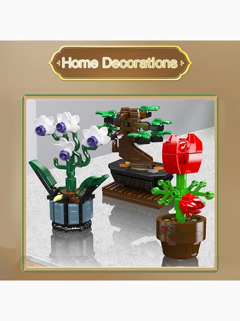 Plantes en pot Multicolore - Kiabi