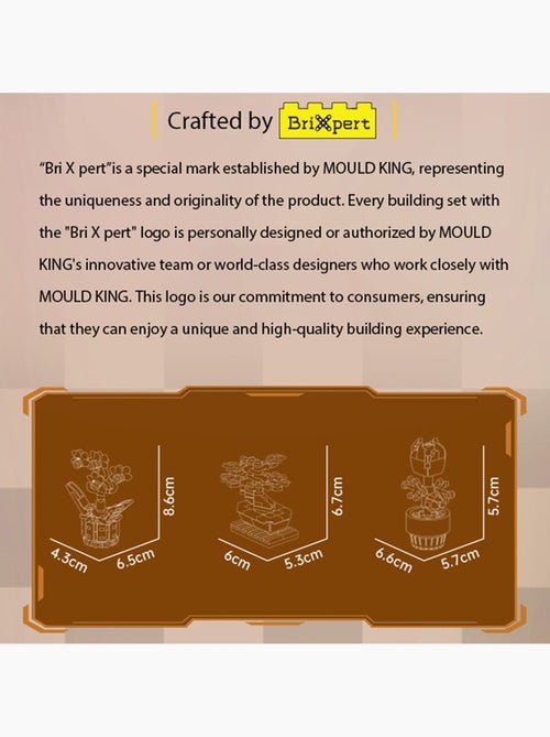 Plantes en pot - Kiabi