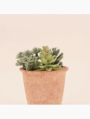 Plantes grasses artificielles 18cm