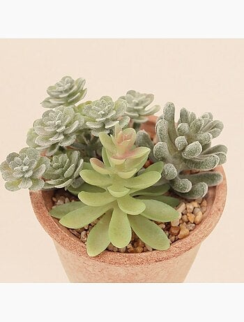 Plantes grasses artificielles 18cm