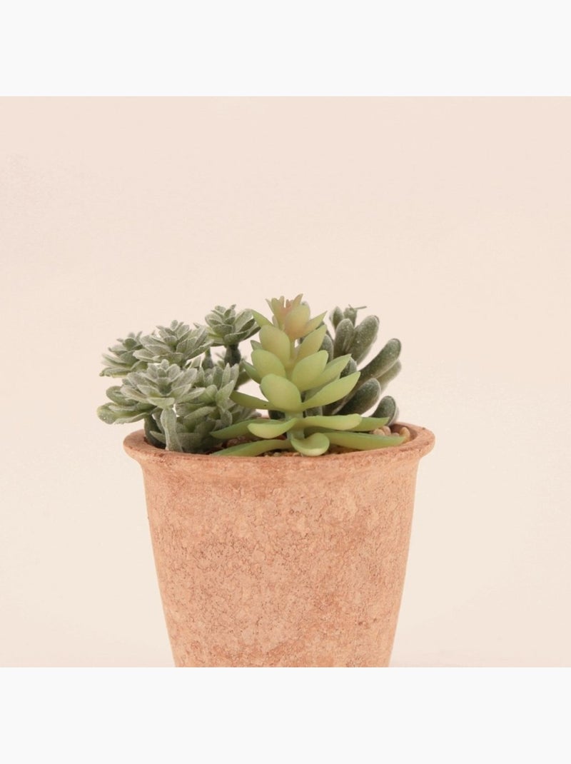Plantes grasses artificielles 18cm Vert - Kiabi