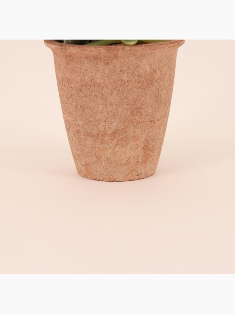 Plantes grasses artificielles 18cm Vert - Kiabi