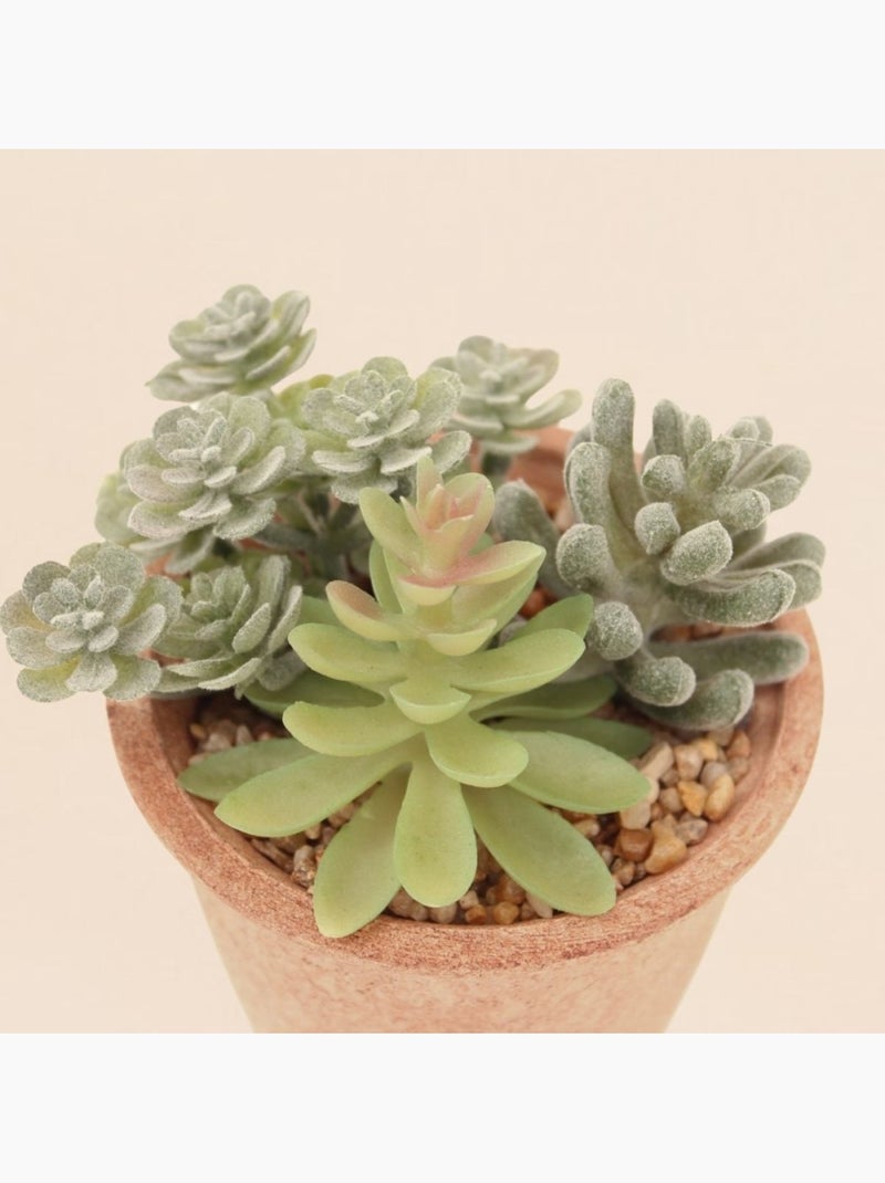 Plantes grasses artificielles 18cm Vert - Kiabi