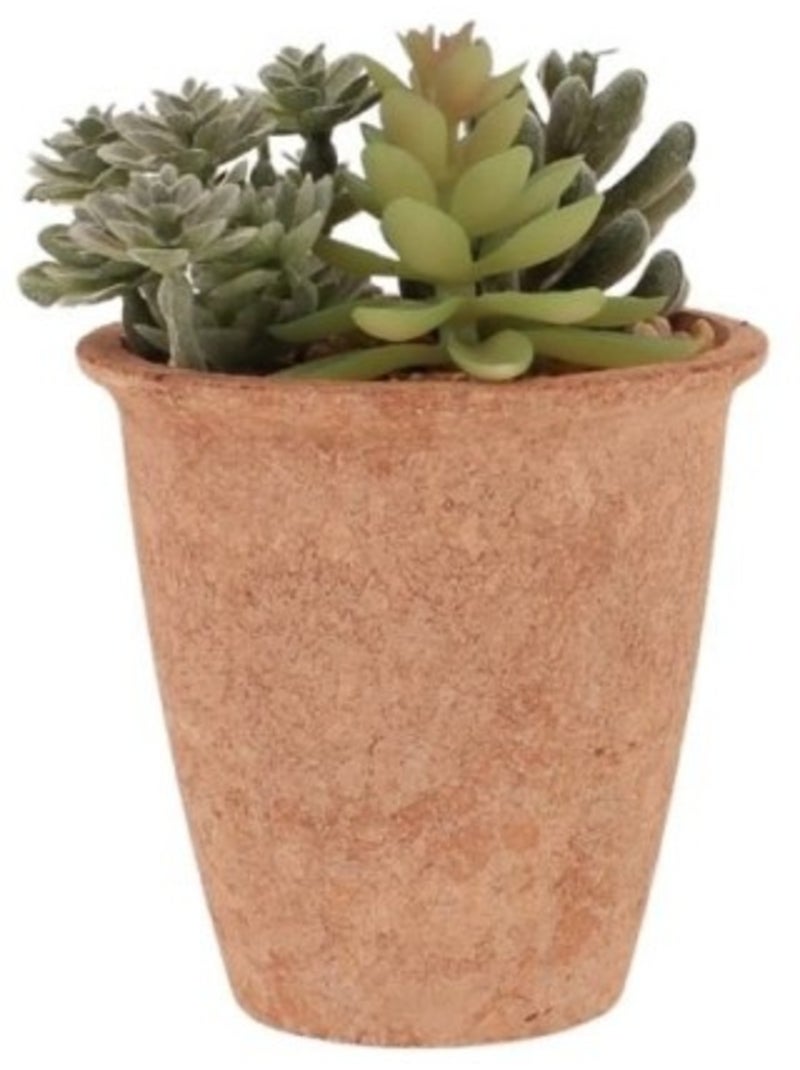 Plantes grasses artificielles 18cm Vert - Kiabi