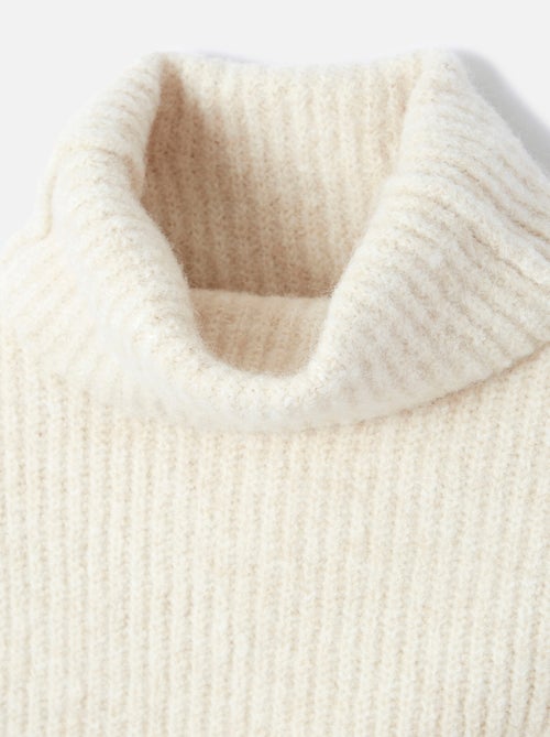 Plastron col montant roulé - Damart - Kiabi