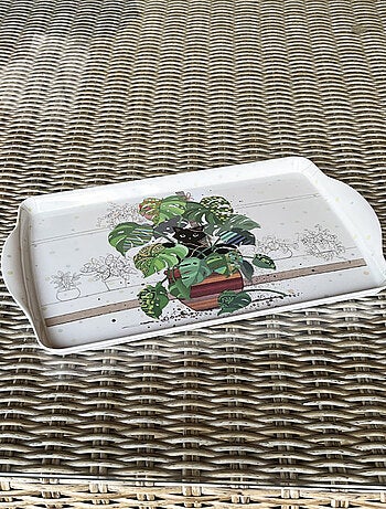 Plateau rectangulaire chaton et monstera 38 cm