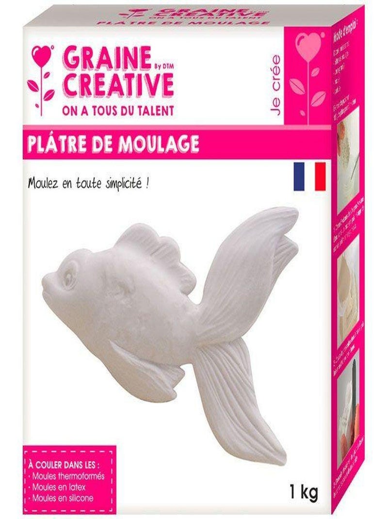 Plâtre de moulage 2 kg - Graine Créative N/A - Kiabi