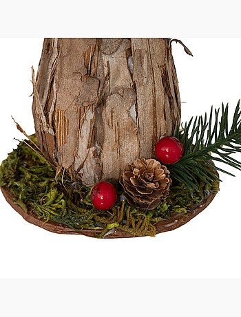 Plf champignon ecorce h18cm