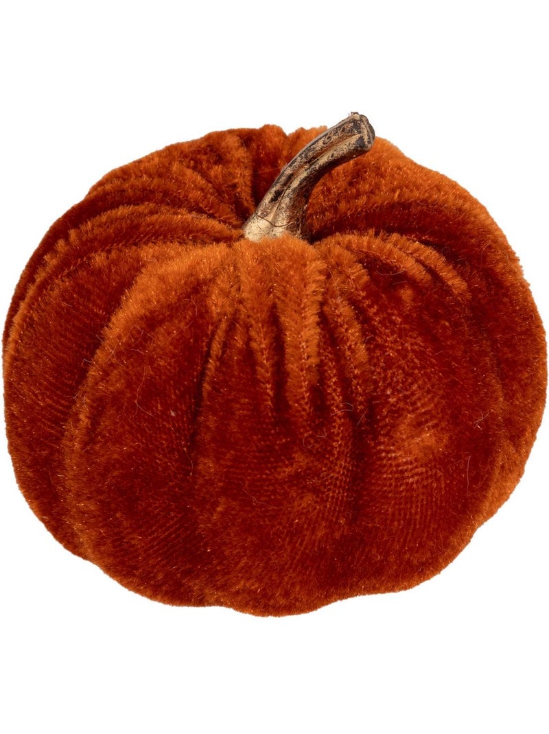 Plf citrouilles velours x5 Multicolore - Kiabi