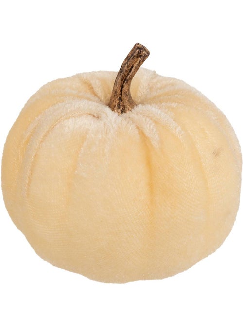 Plf citrouilles velours x5 - Kiabi
