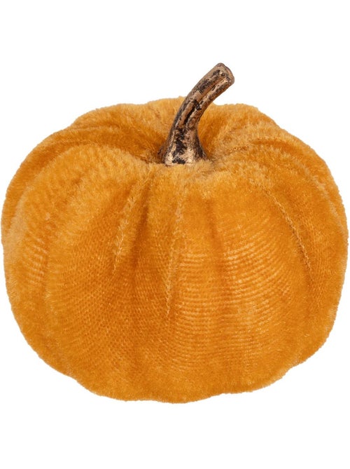 Plf citrouilles velours x5 - Kiabi