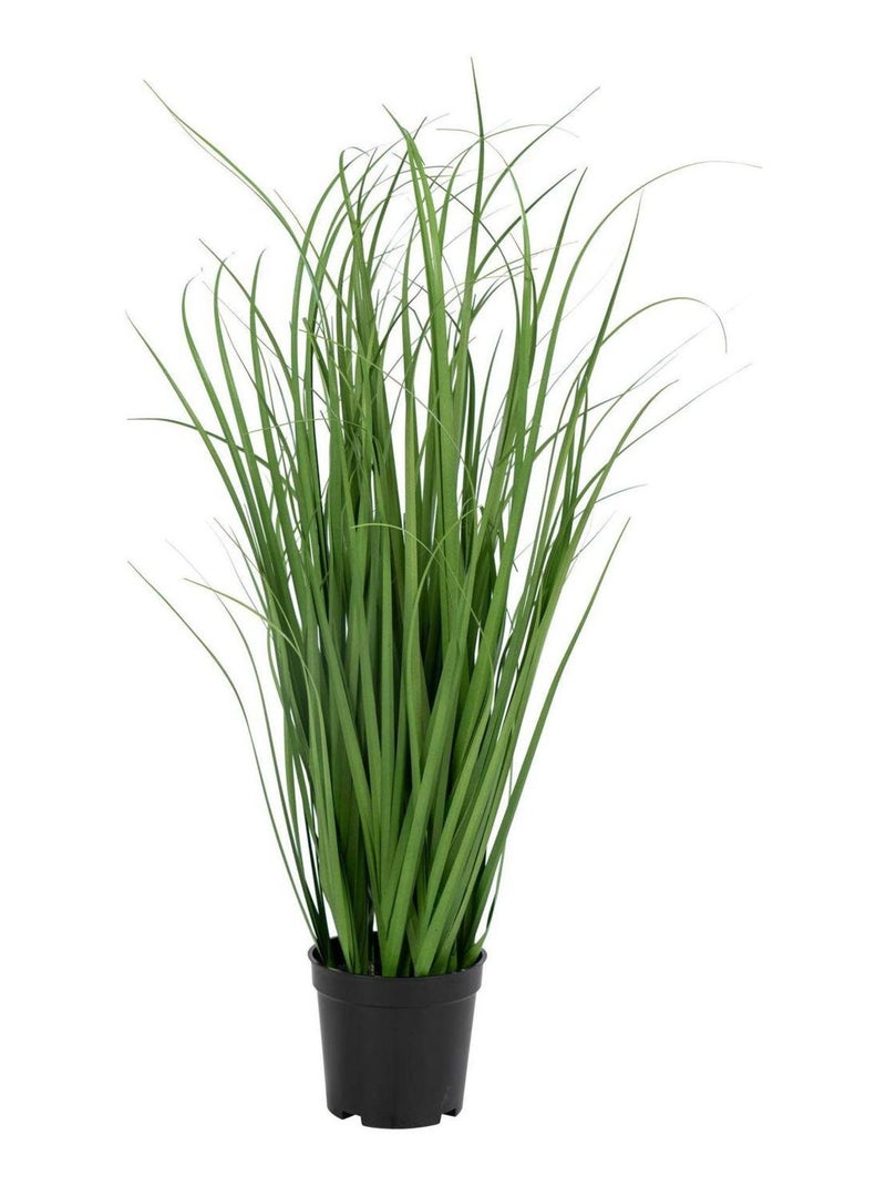 Poa Grass artificiel 68 cm - House Nordic Vert - Kiabi
