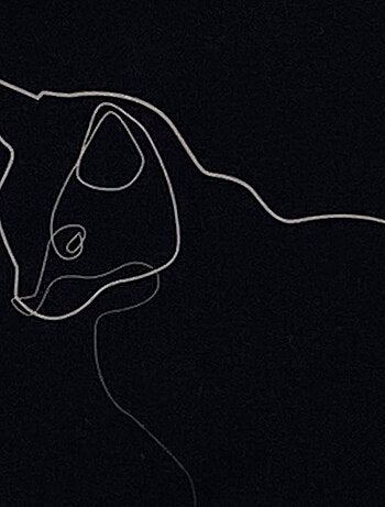 Pochette à maquillage Chat Quibe - Fabrication Française