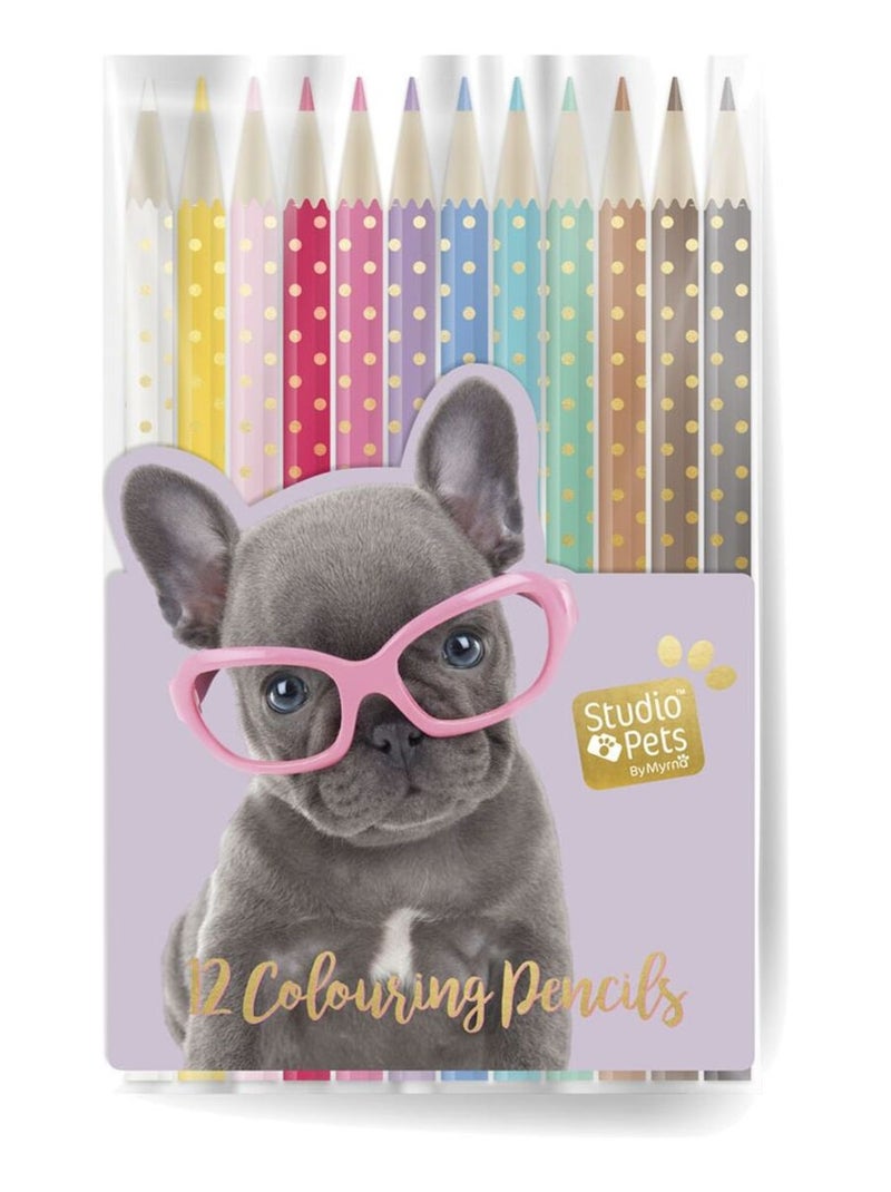 Pochette de 12 crayons de couleurs Studio Pets Multicolore - Kiabi