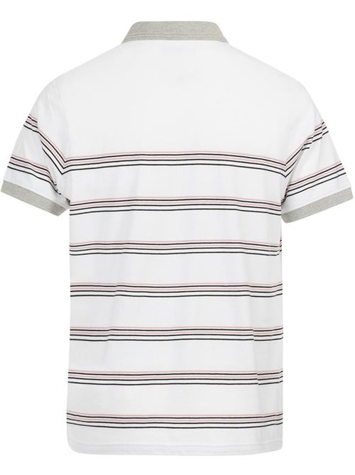 Polo manches courtes - Terre de Marins - Kiabi