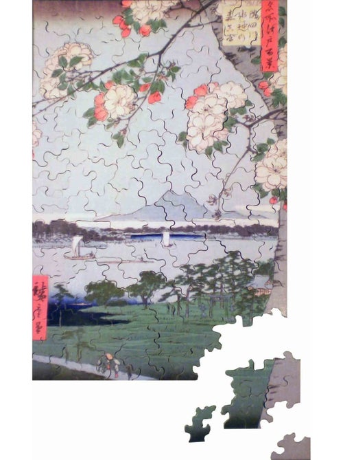 Pommiers en fleurs - Kiabi