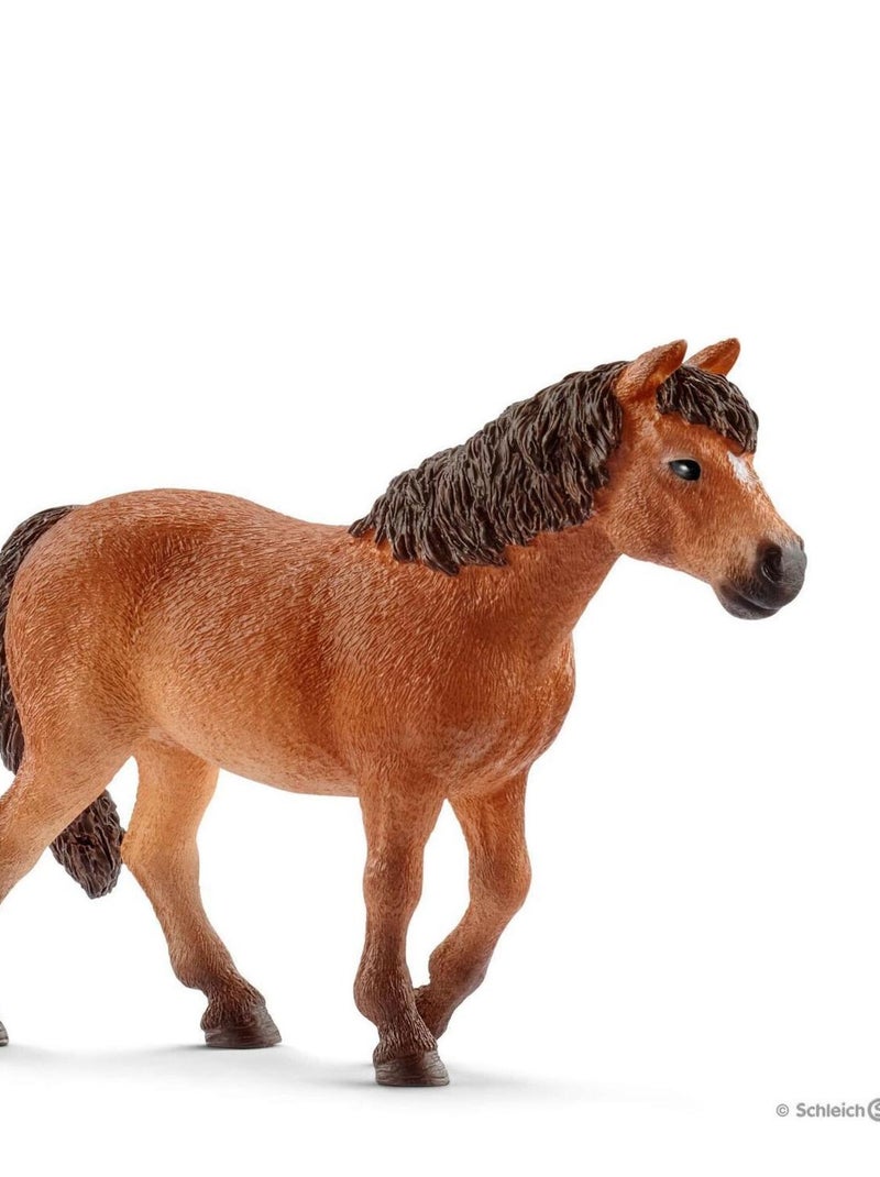 Ponette Dartmoor N/A - Kiabi
