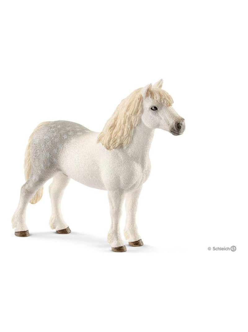 Poney gallois mâle N/A - Kiabi