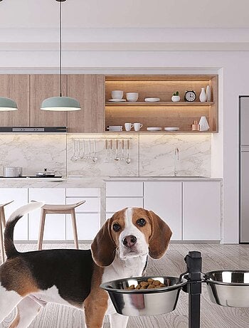 Porte-gamelles surélevé bar à chien avec 2 bols inox