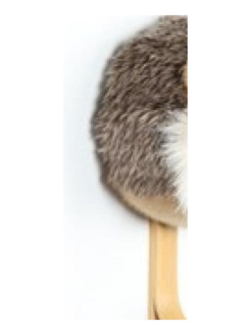 Porte Manteau Peluche tête de hérisson Multicolore - Kiabi