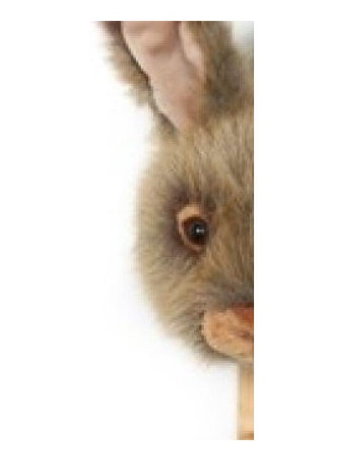 Porte Manteau Peluche tête de lièvre brun - Kiabi