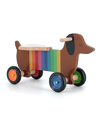 Porteur chien multicolore