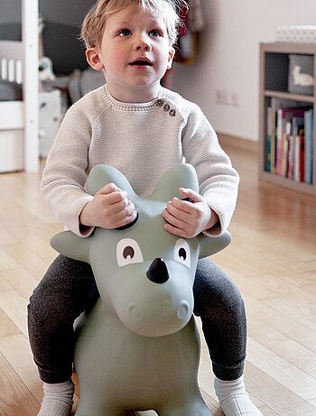 porteur gonflable, Dino