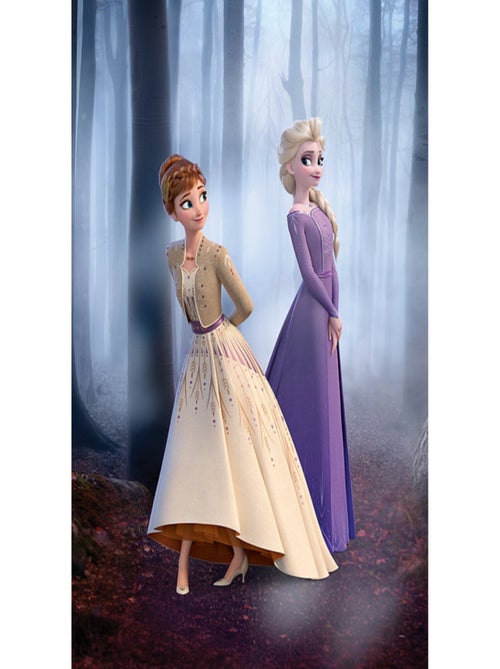 Poster Disney La Reine des Neiges 2 - Anna et Elsa se promènent en forêt 30 cm x 40 cm - Kiabi