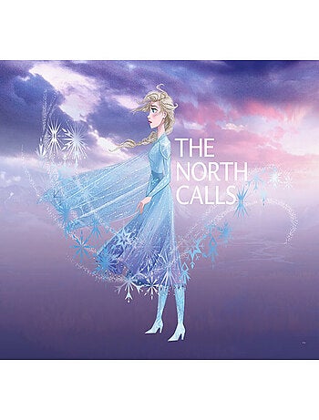 Poster Disney La Reine des Neiges 2 - Elsa l'appel du nord 70 cm x 50 cm