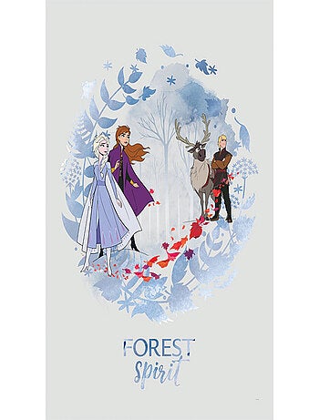 Poster Disney La Reine des Neiges 2 - Esprit de la forêt 30 cm x 40 cm