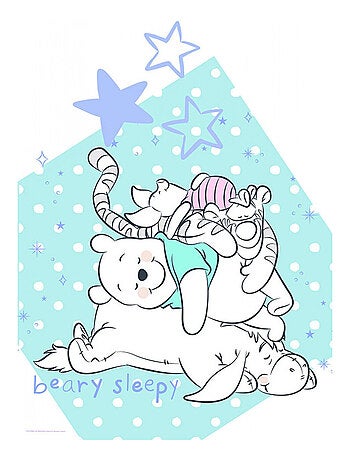 Poster Disney Winnie l'ourson - Winnie fait la sieste avec ses amis 30 cm x 40 cm