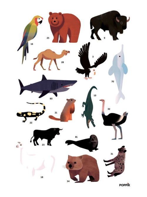 Poster Educatif Avec Ses Stickers - Les Animaux Du Monde - Kiabi