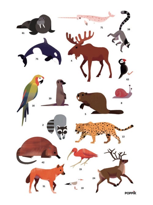 Poster Educatif Avec Ses Stickers - Les Animaux Du Monde - Kiabi