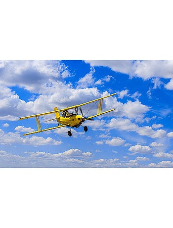 Poster géant intissé biplane - 400 x 280 cm