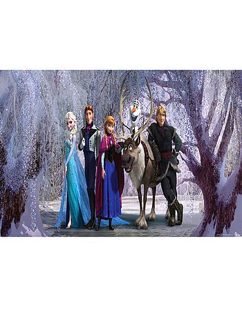 Poster géant La Reine des Neiges Disney Frozen intisse 202X90 CM