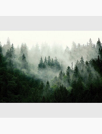 Poster intissé - forêt brumeuse - 155x110 cm