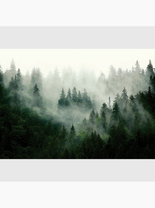 Poster intissé - forêt brumeuse - 155x110 cm - Kiabi Poster intissé - forêt brumeuse - 155x110 cm - Kiabi