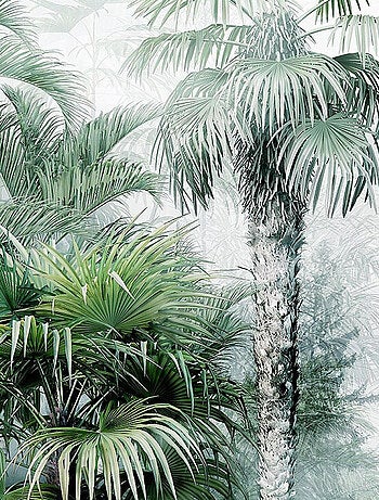 Poster intissé - foret jungle brouillard- 150 x 270 cm
