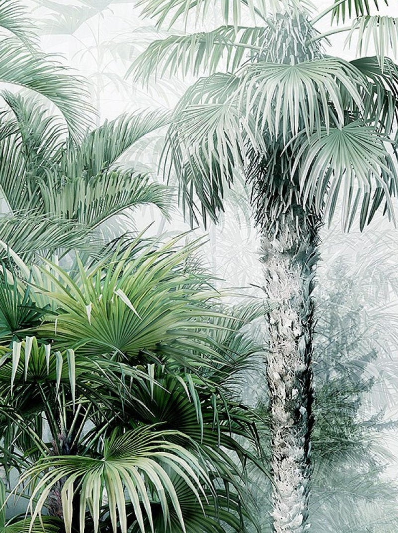 Poster intissé - foret jungle brouillard- 150 x 270 cm Multicolore - Kiabi