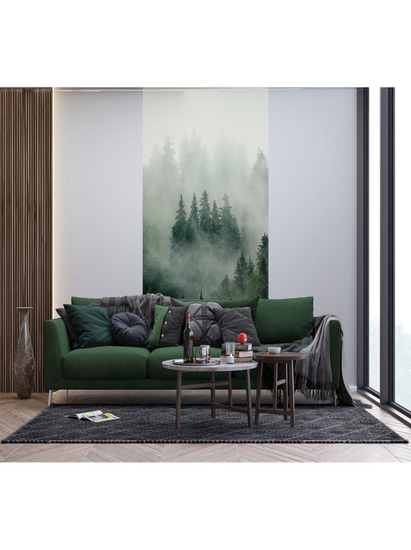 Poster intissé - foret sombre avec brouillard - 150 x 270 cm Multicolore - Kiabi