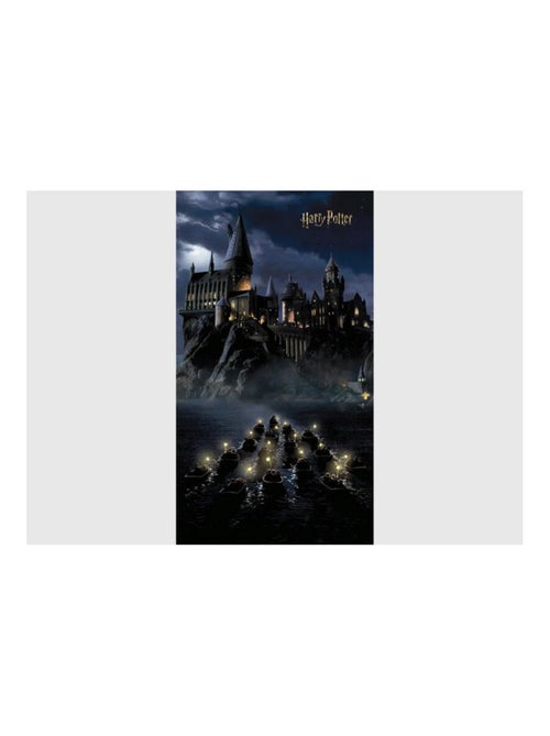Poster intissé - Harry Potter Poudlard dans la nuit - 150 x 270 cm - 2 lés - Kiabi