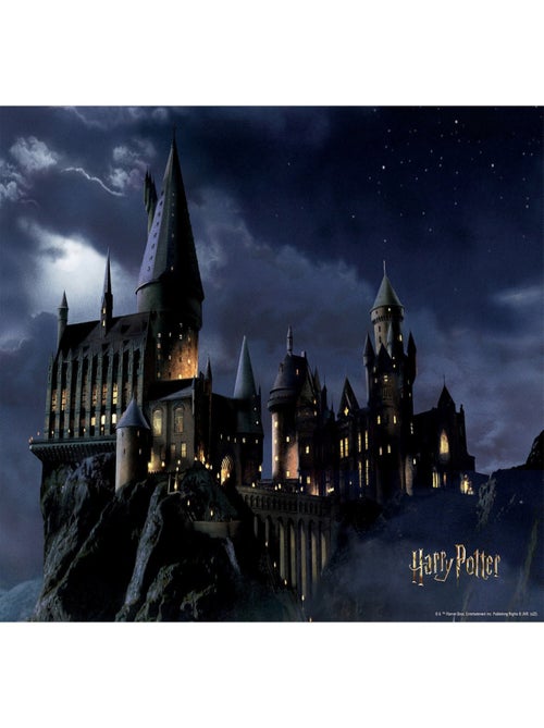 Poster intissé - Harry Potter poudlard dans la nuit - 155 x 110 cm - Kiabi