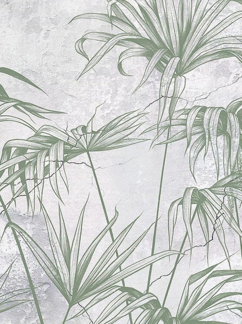 Poster intissé - jungle et fougère en noir et blanc - 150 x 270 cm - Kiabi