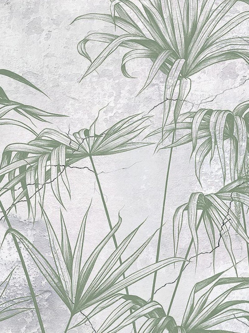 Poster intissé - jungle et fougère en noir et blanc - 150 x 270 cm Multicolore - Kiabi